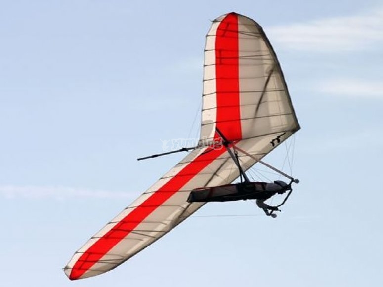 Solcando i cieli come un uccello Solcando i cieli come un uccello
